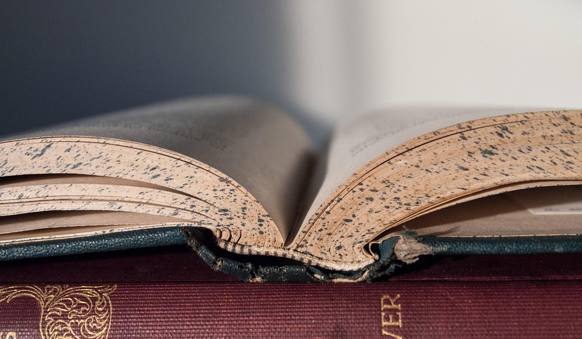 Fond Reader