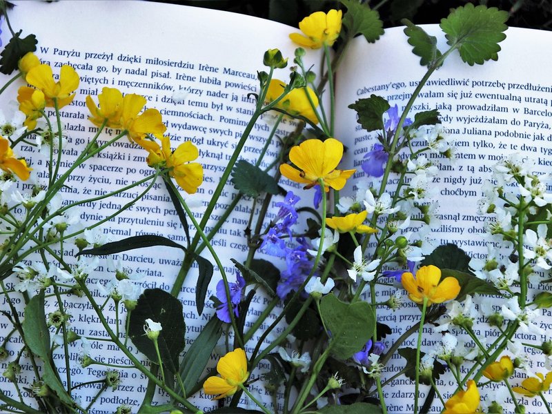 Fond Reader