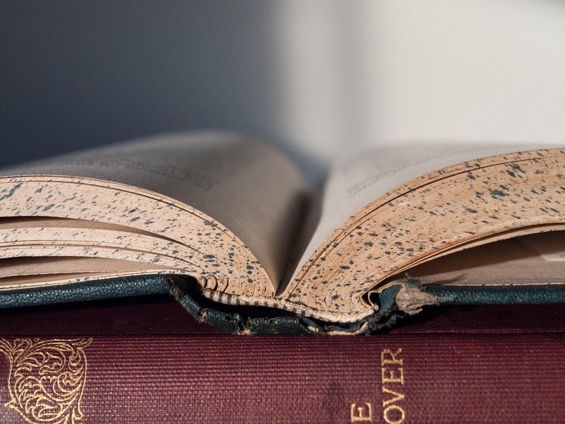 Fond Reader