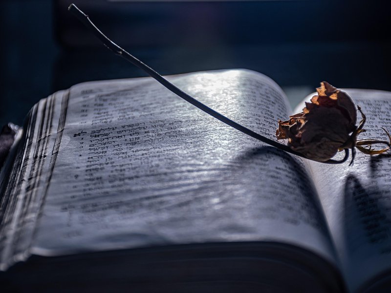 Fond Reader